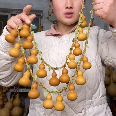 天然植物葫芦文玩