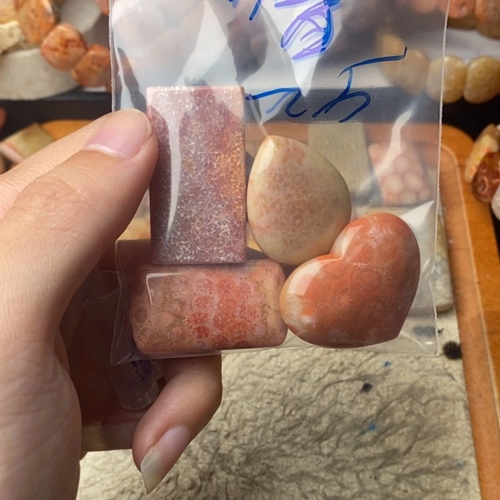 小***馨颈饰未镶嵌硅化珊瑚（珊瑚玉）