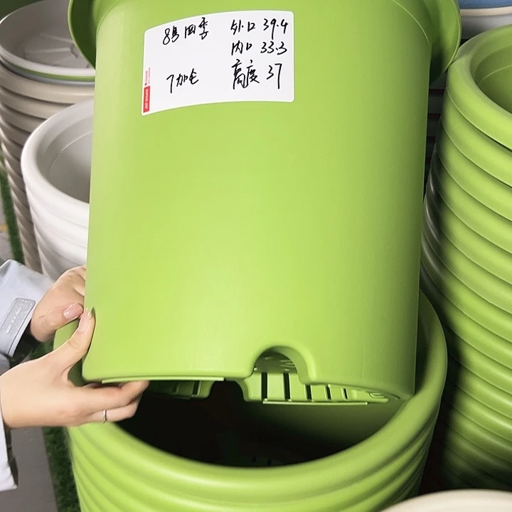 正品8号四季口39.4高37果绿无托3只