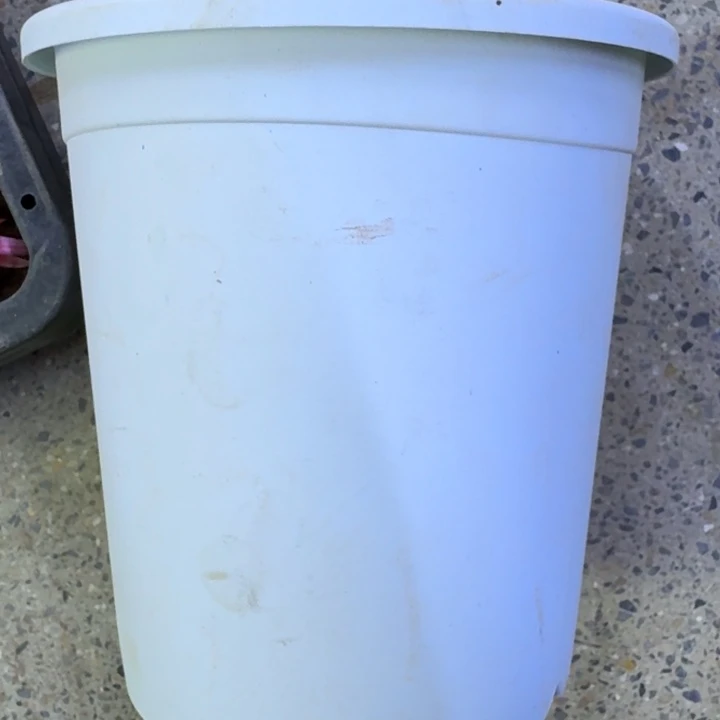 小灰白圆盆2个口径15公分左右无托盘，20包邮