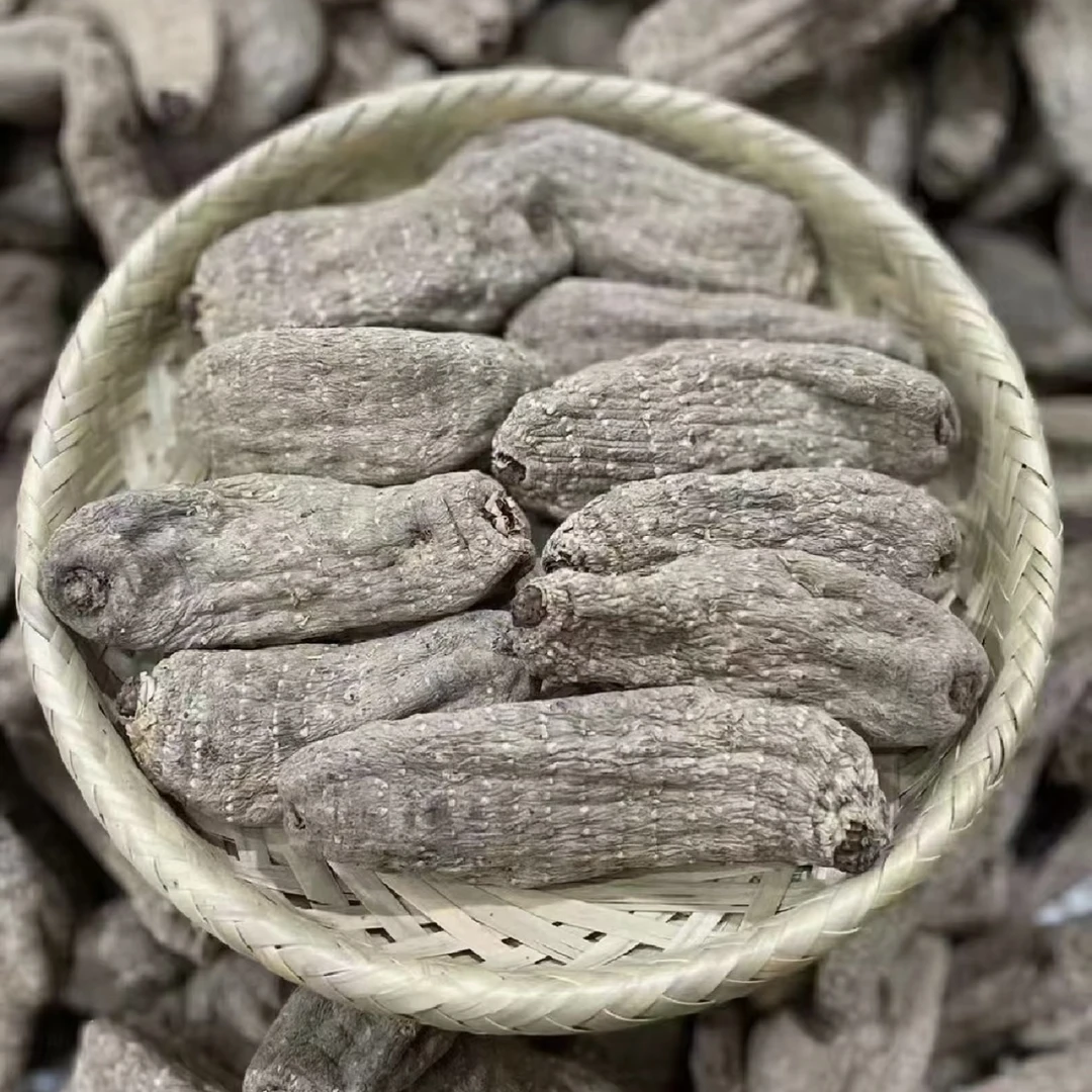 乌天麻 云南特产干货 小草坝乌天麻 深山采挖自然晾晒滋补煲汤