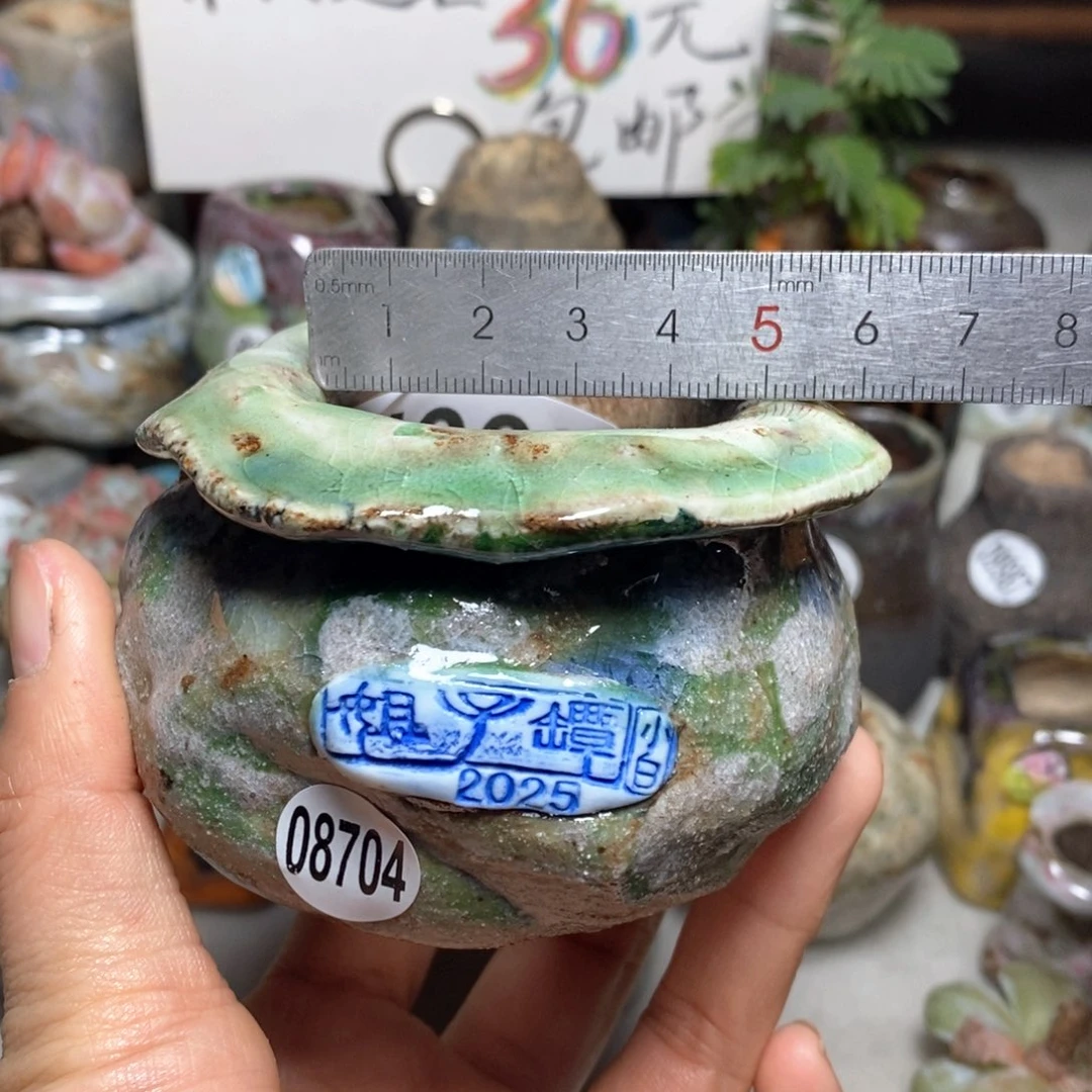 花盆拍3送一个小礼物