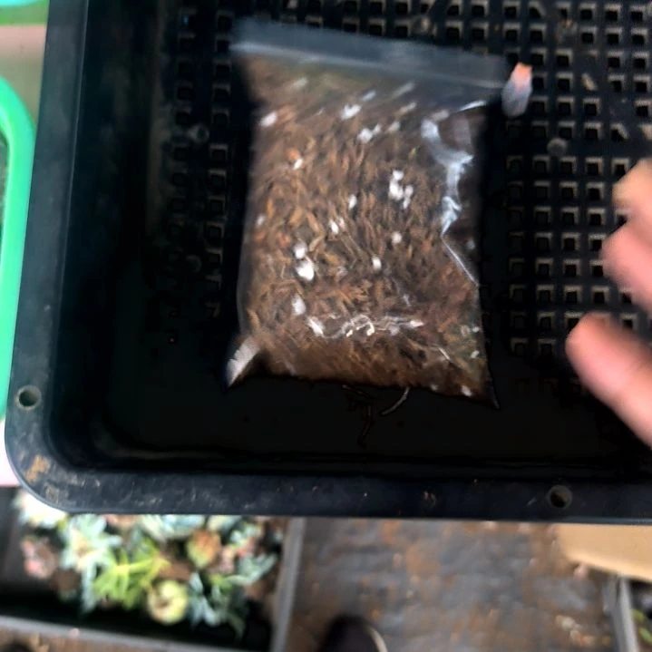 牛粪土一包试用装，满5元包邮
