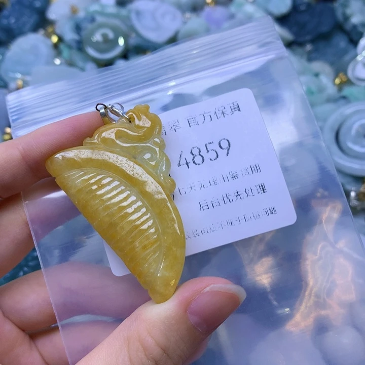翡翠未镶嵌项圈翡翠