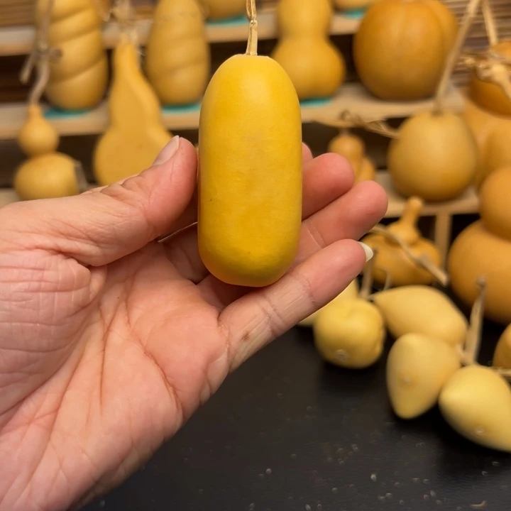 ?****➰5556655856666669