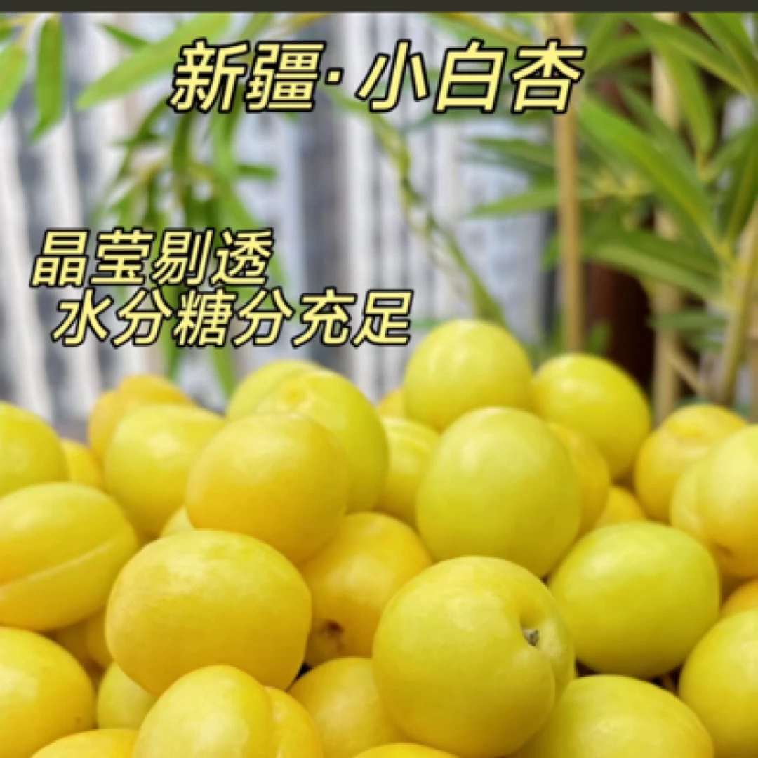 新疆奶油杏 一盒一斤 甜奶香浓郁