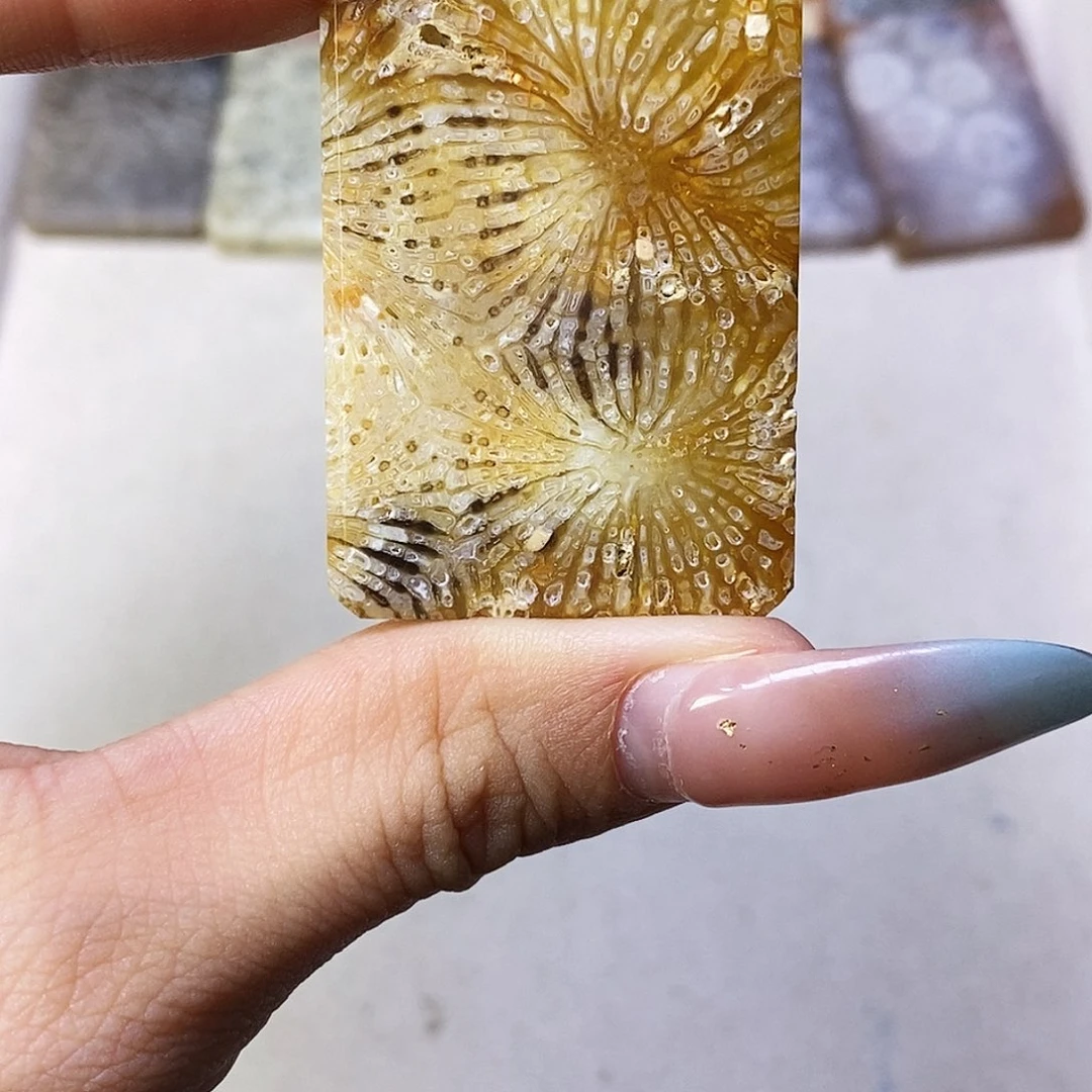 合金颈饰硅化玉盏*