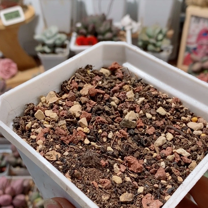 软*水泡专用颗粒土