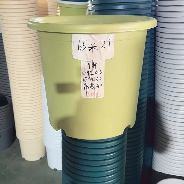 微瑕9#口径46无托果绿3个