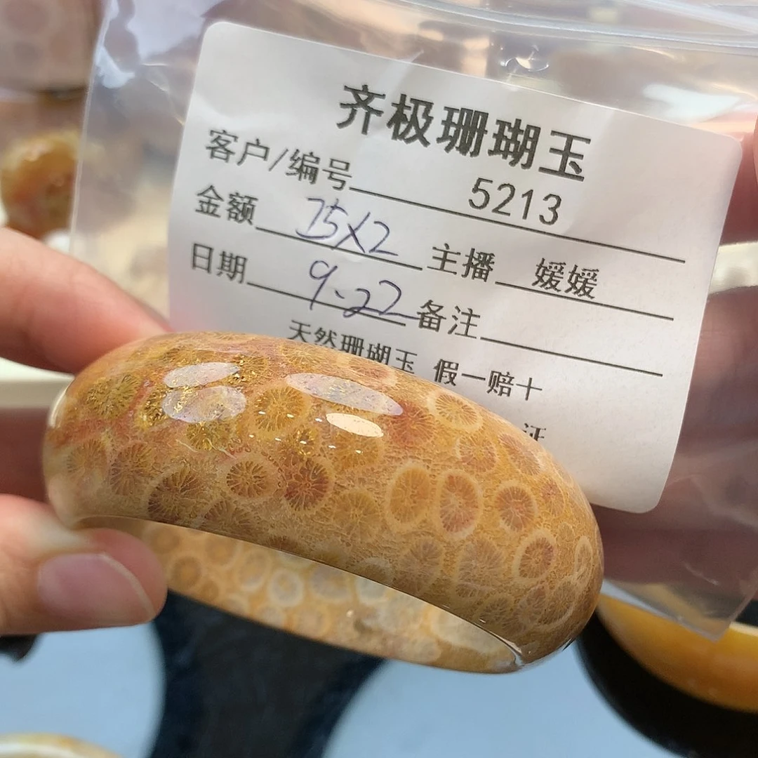 未镶嵌手镯硅化珊瑚（珊瑚玉）娇*