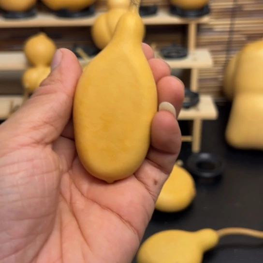 再****了28885898788888