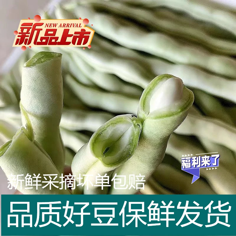 云南高山种植新鲜四季豆白芸豆大白豆角云豆现摘蔬菜刀豆豆角