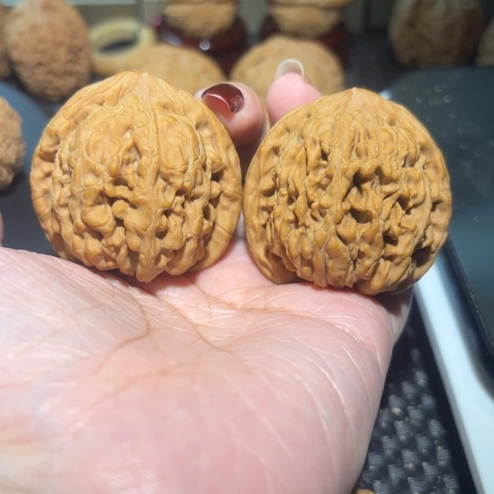 神***动文玩核桃把件43蚂蚁王