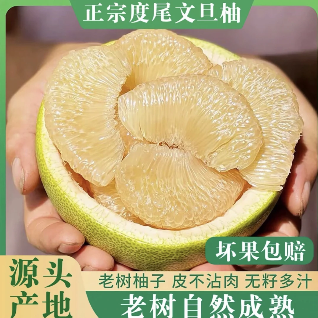 福建度尾文旦柚现采现摘新鲜应季孕妇水果酸甜多汁