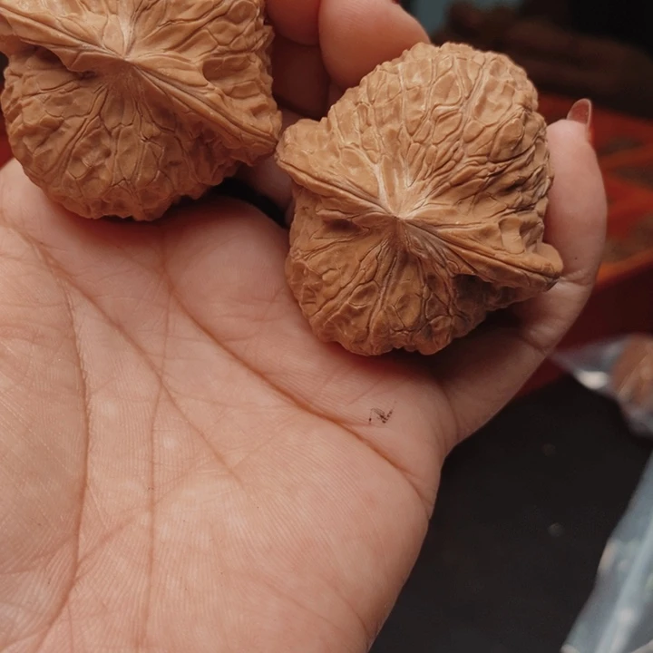 核桃南瓜核桃45尺