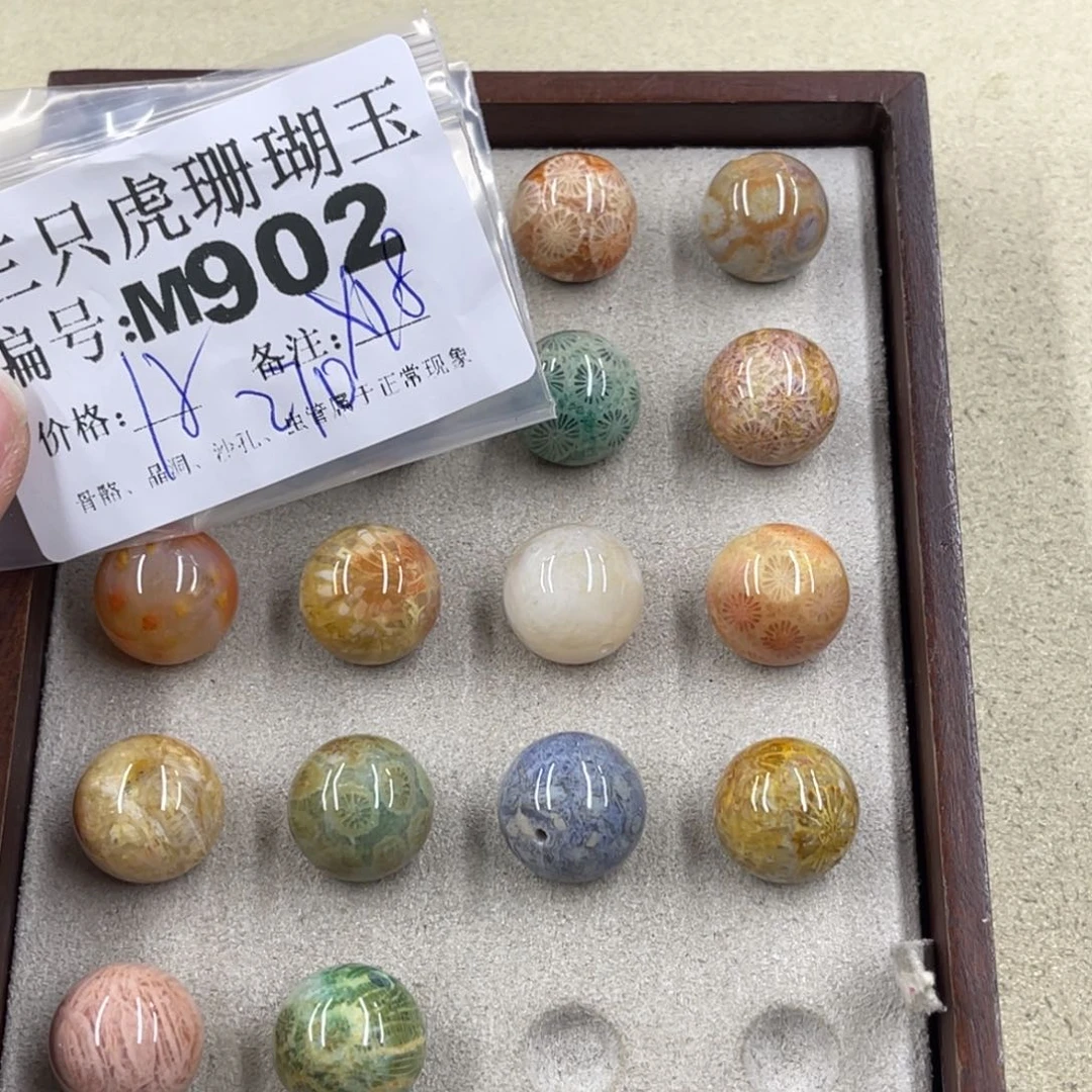 N***9硅化珊瑚（珊瑚玉）h未镶嵌