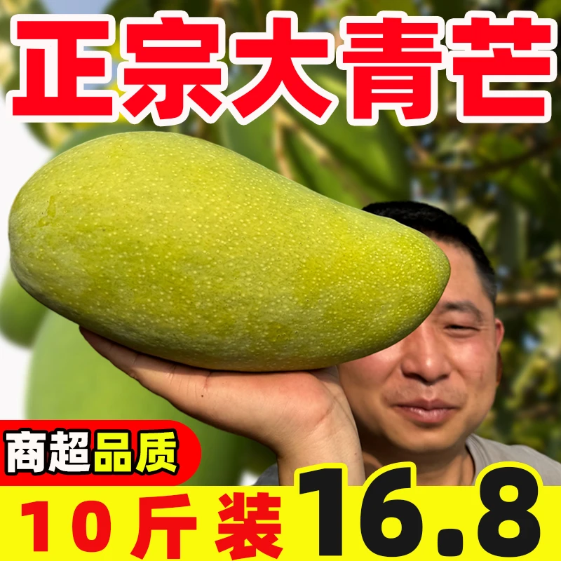 正宗大青芒当季新鲜热带孕妇水果云南广西金煌芒青皮甜心芒包邮