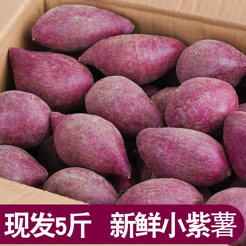 【新鲜】新鲜紫罗兰紫薯现挖沙地烟薯紫心蜜薯红薯地瓜