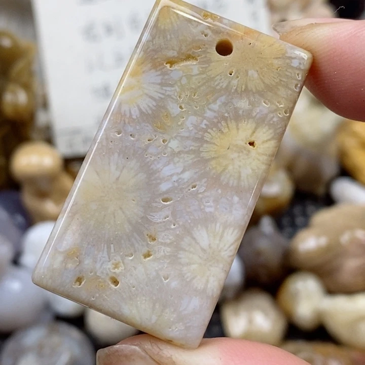 颈饰未镶嵌硅化珊瑚（珊瑚玉）有瑕 小