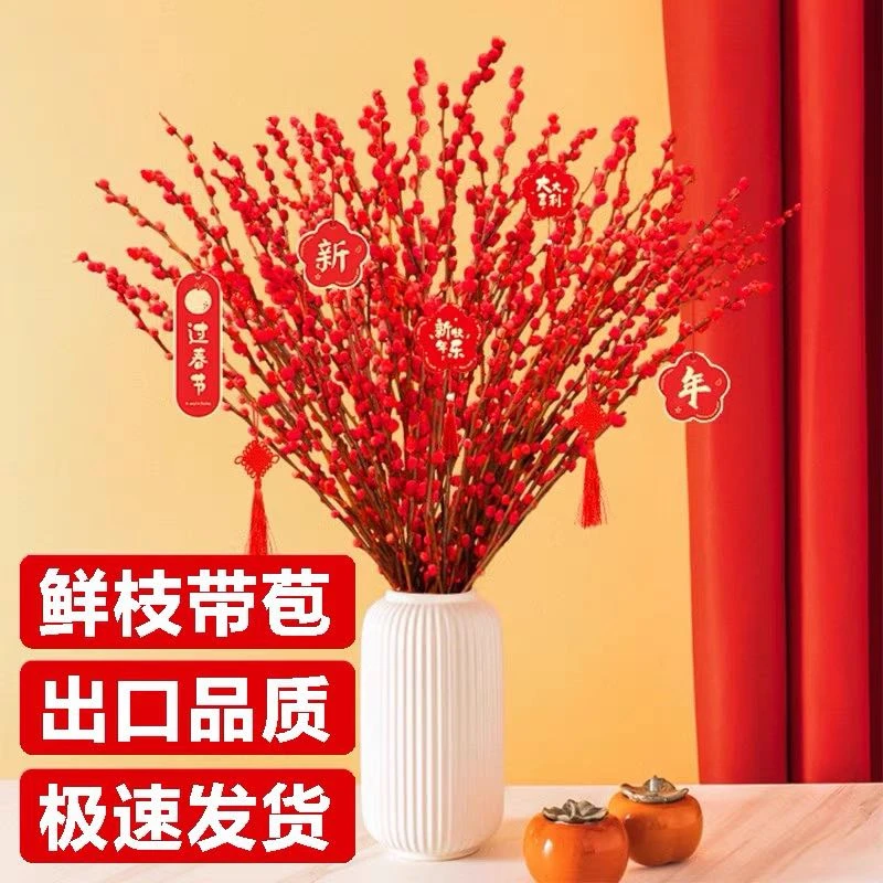 【年宵花银柳】红色干花春节室内装饰鲜花花卉四季开花插花客厅办公