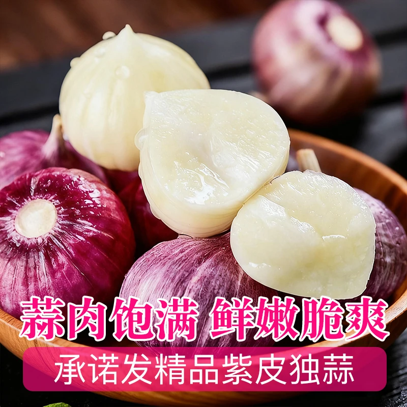 2025紫皮独头蒜干大蒜头新鲜农家圆头红珍珠辣蒜干蒜1斤当季蔬菜