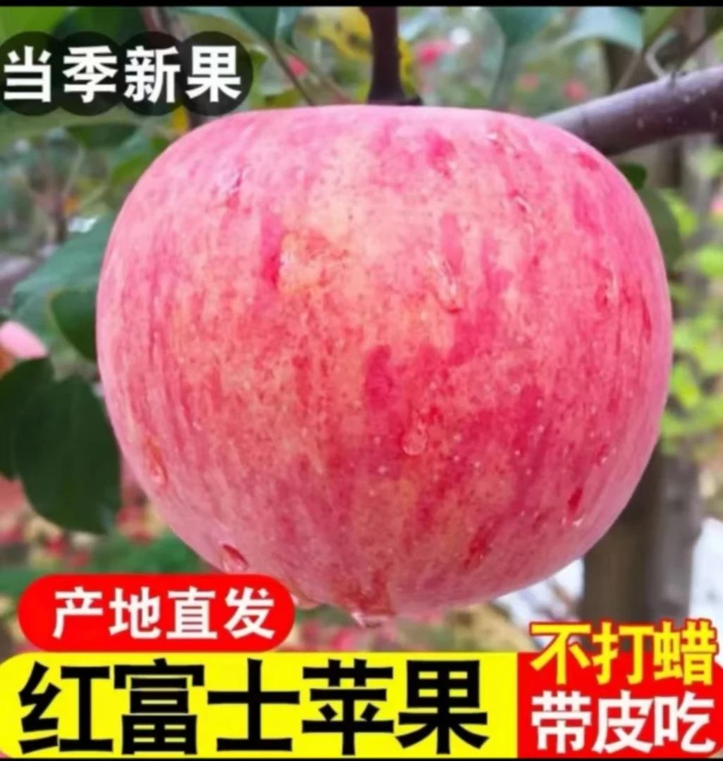 高山红富士苹果带箱9-10斤，单果80mm+红色彩箱+泡沫托发货