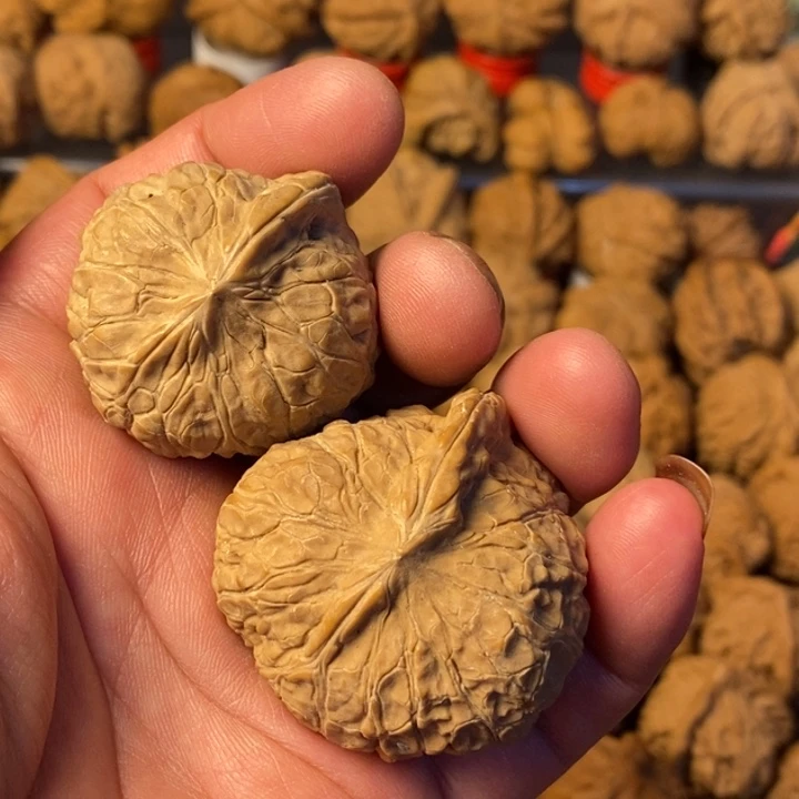 盘***记大叶紫檀（黑酸枝木类）