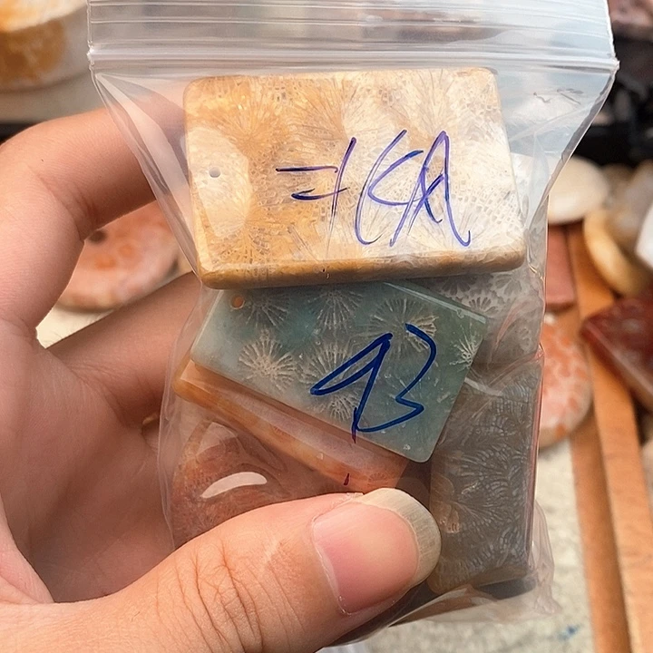 硅化玉颈饰未镶嵌北*