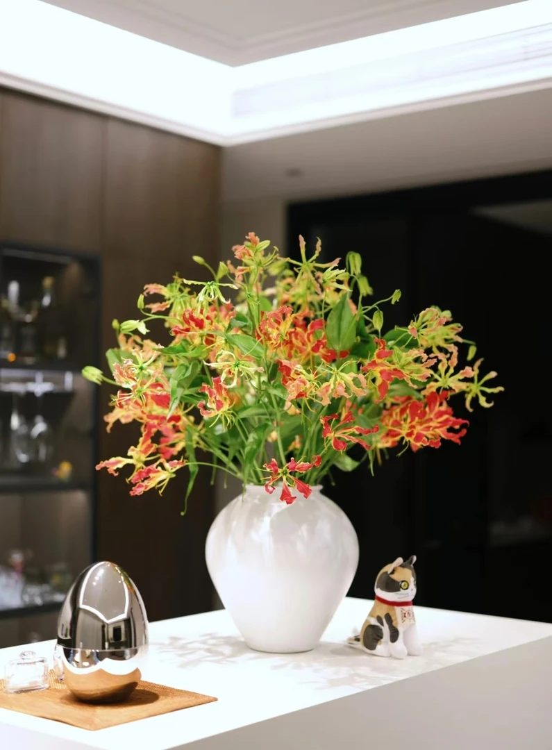 【嘉兰百合】火焰百合高端轻奢小众花材