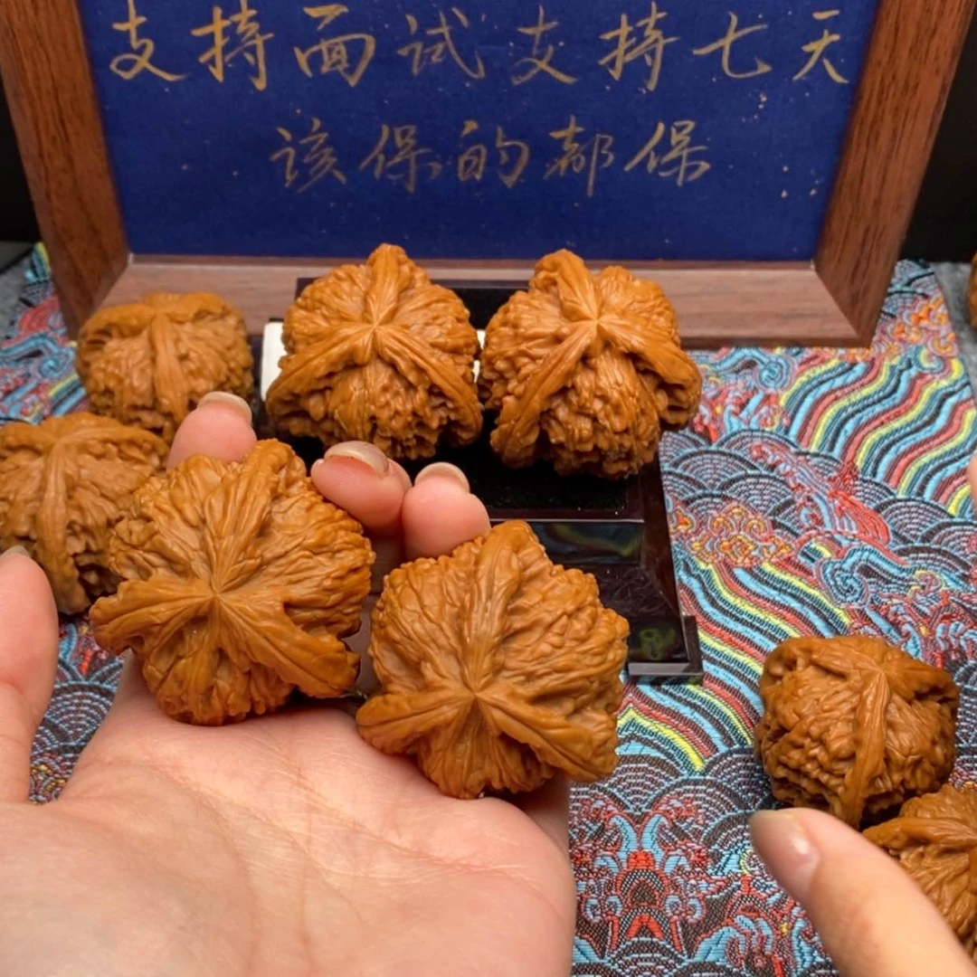 【闪购商品】钓**虾白狮