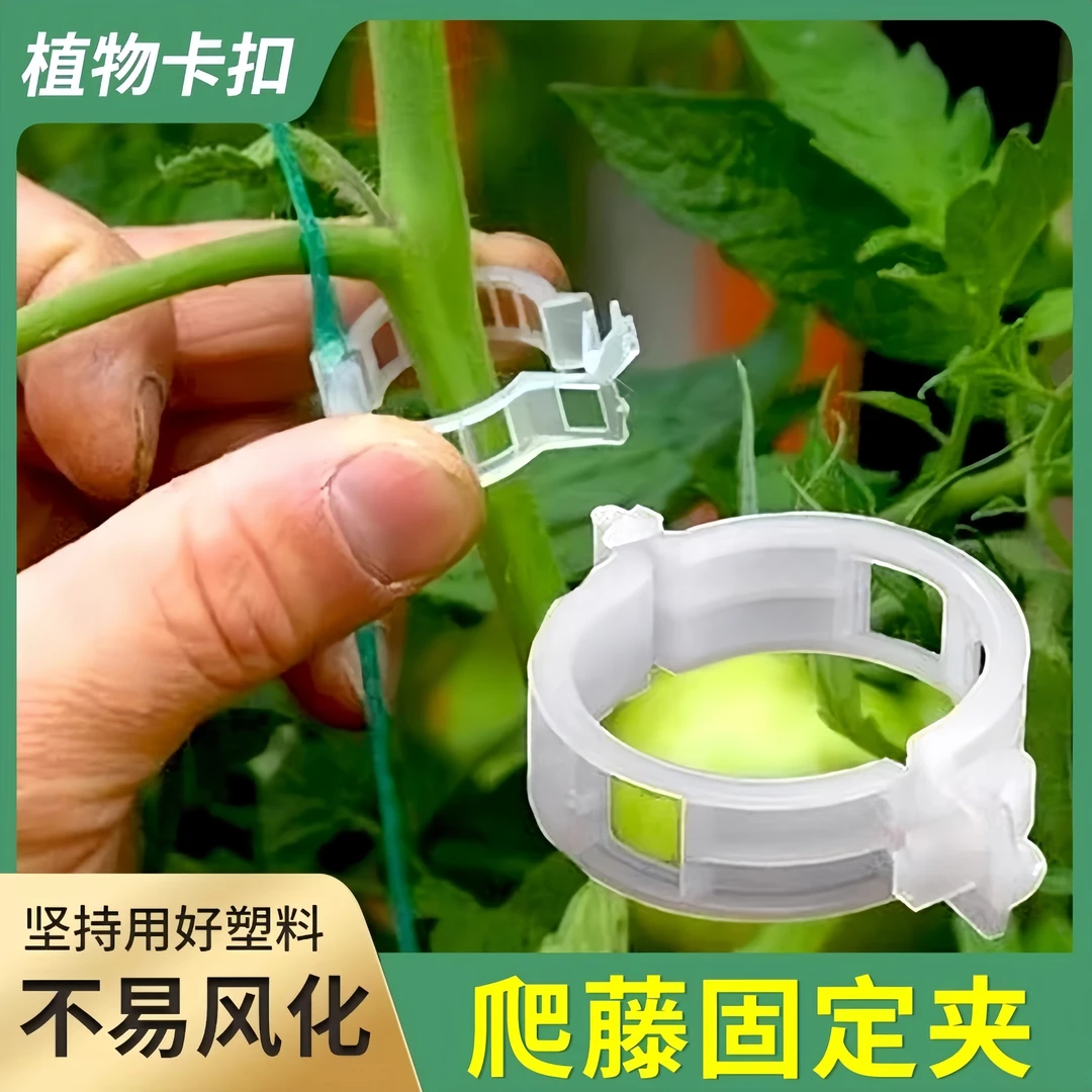 绿植果树植物固定夹果蔬爬藤固定器秧苗藤蔓挂蔓卡扣支撑杆扶蔓夹