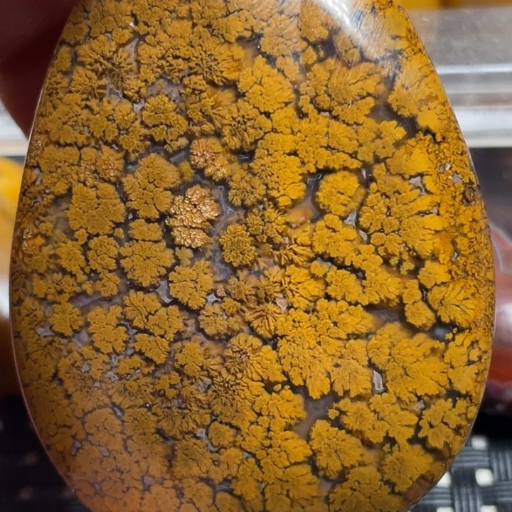 玛瑙/玉髓颈饰未镶嵌G**y