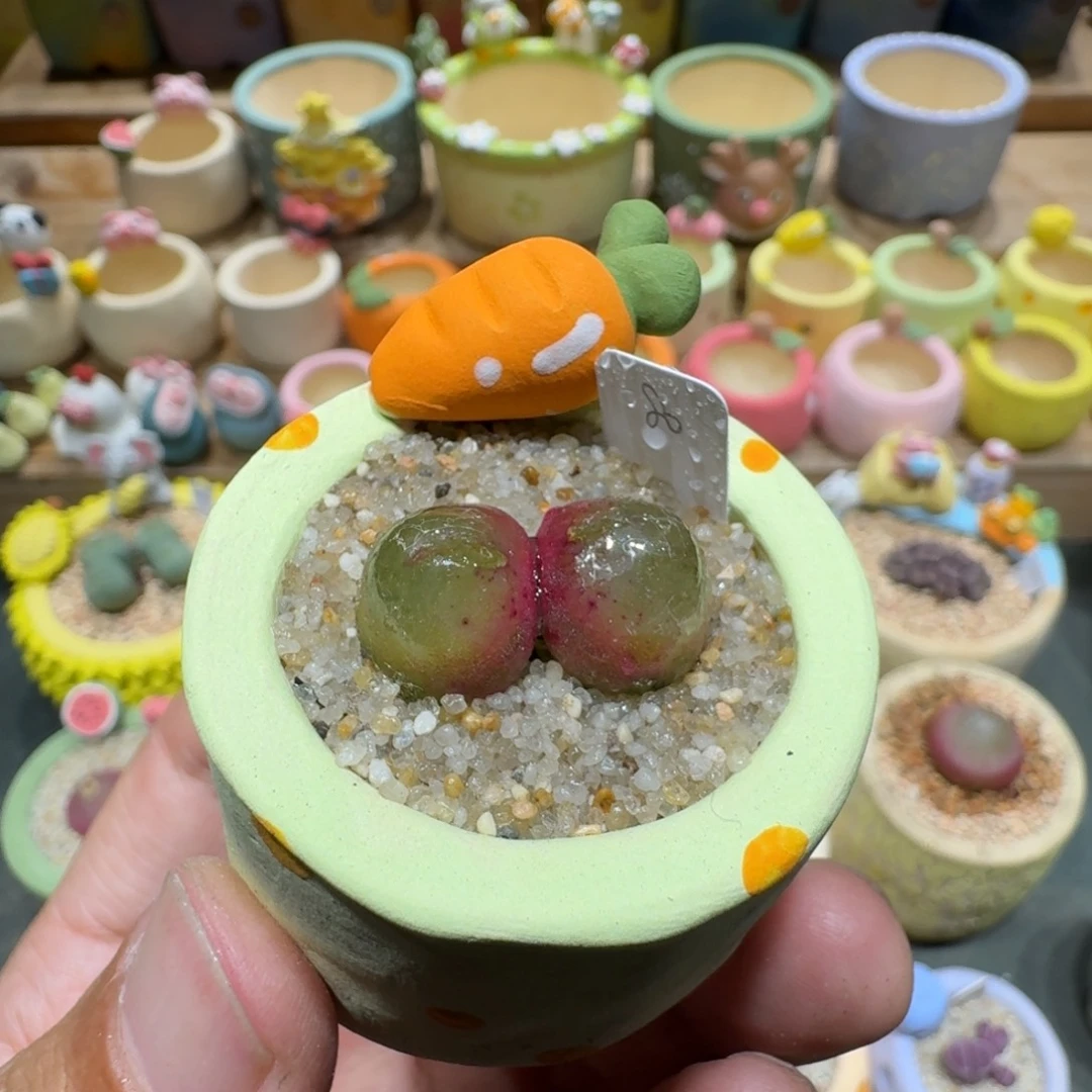 蘑菇1119灯泡多肉植物