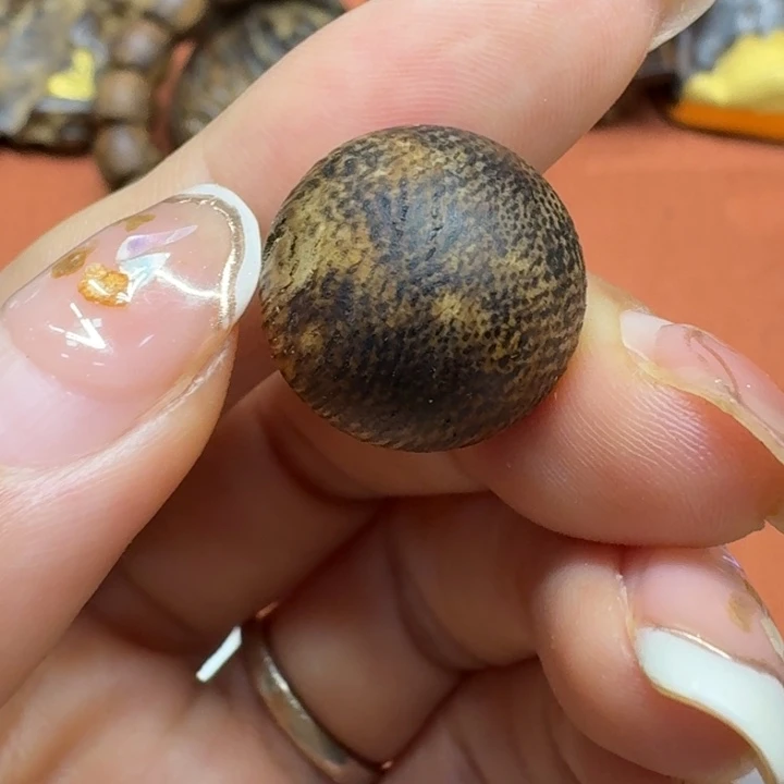 大叶紫檀（黑酸枝木类）