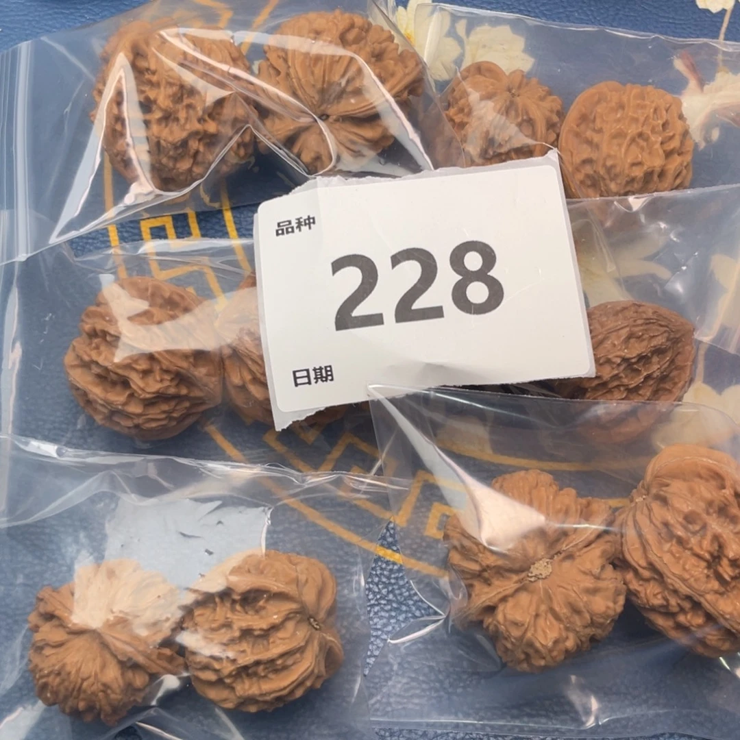 把件文玩核桃228号6对带练手粗筋