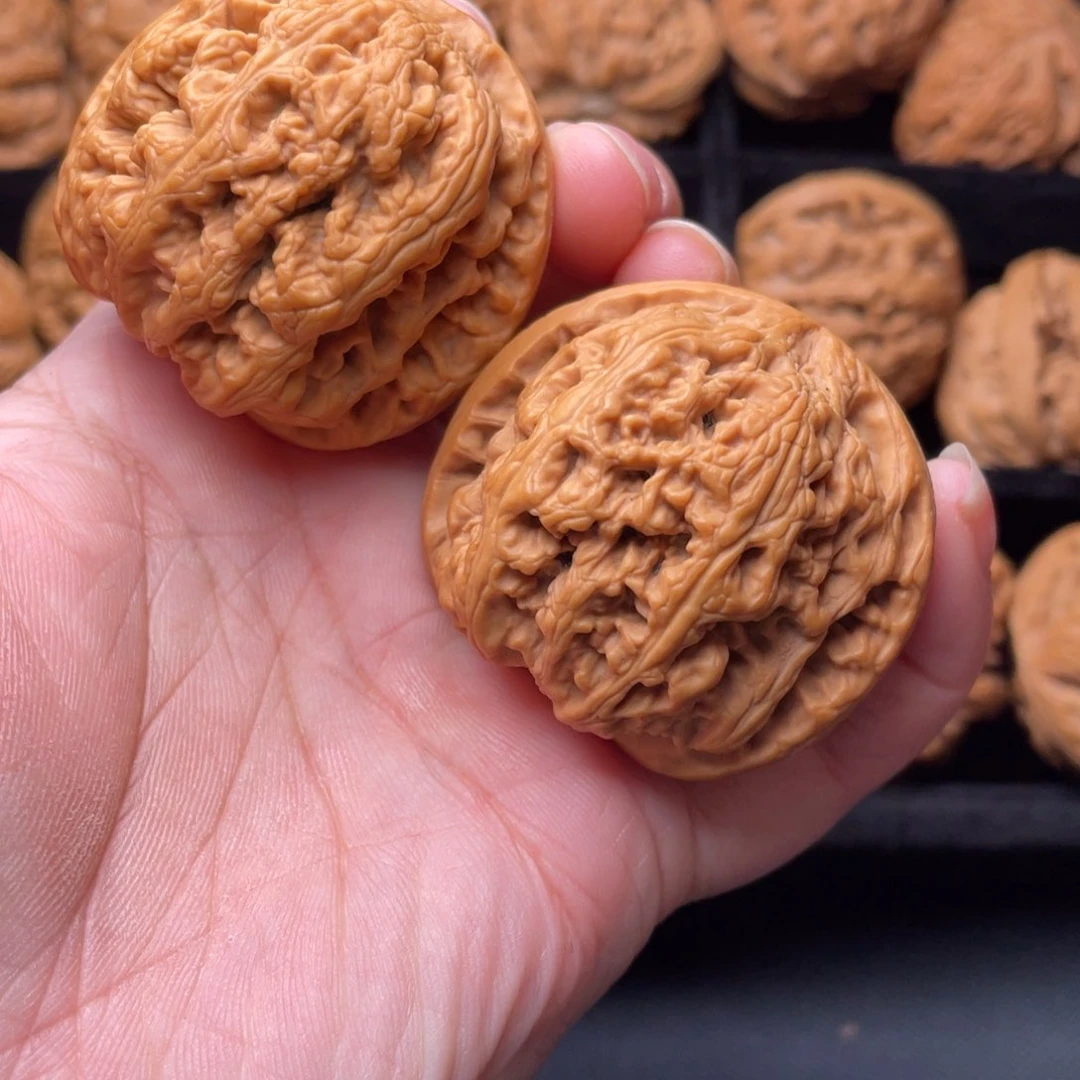 核桃秦岭森林核桃