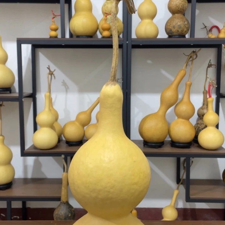 相***缘橘皮纹厚皮葫芦46肚