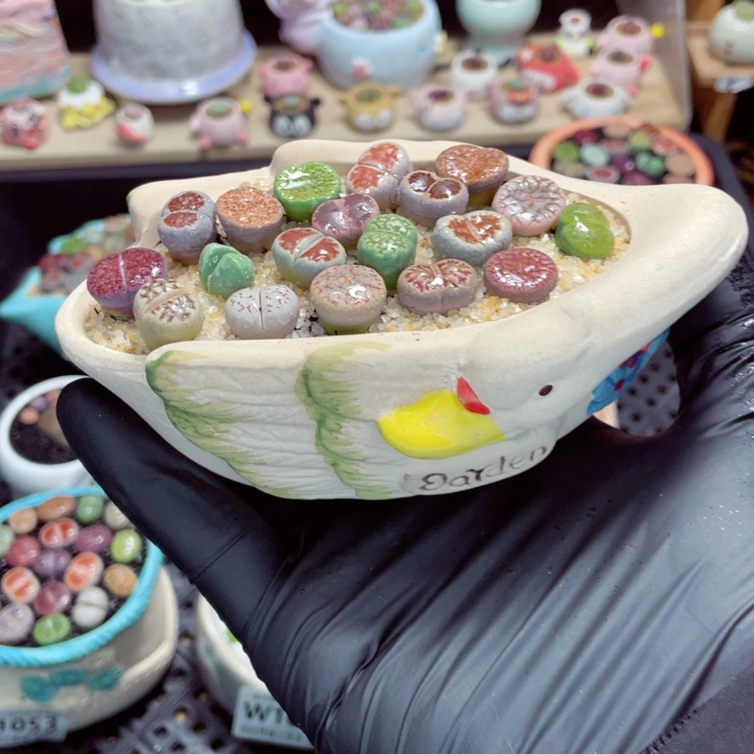 夜间零下地区拍保温箱w1055