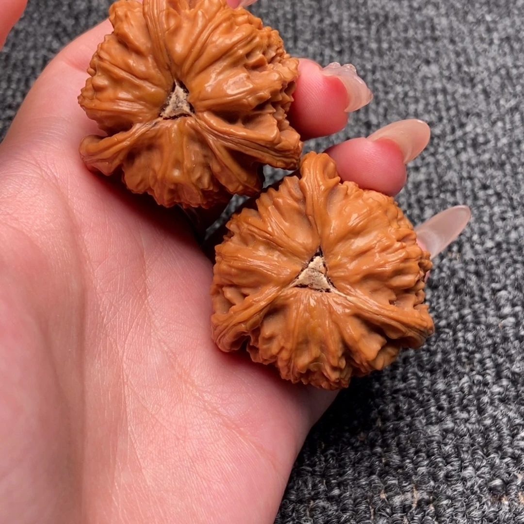 打***王木质类白狮子正奔
