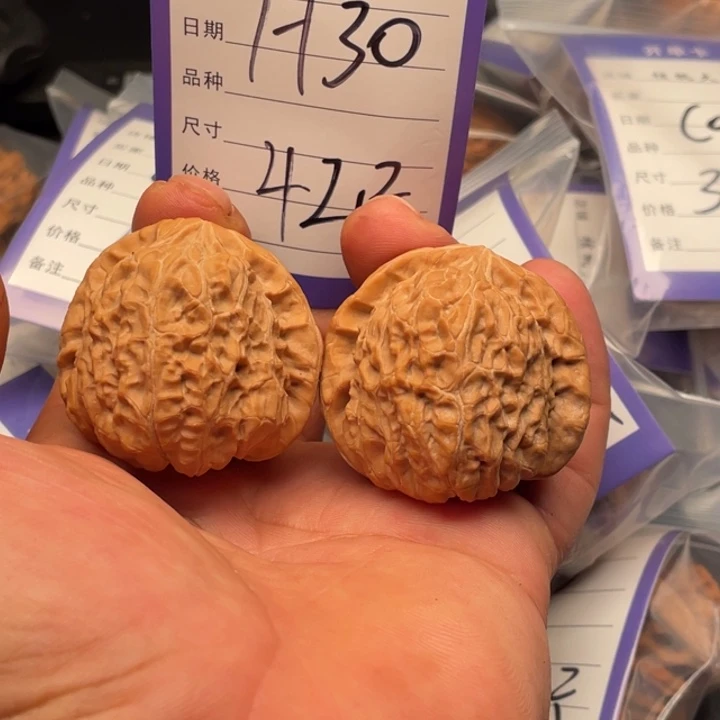 核桃南瓜42尺寸