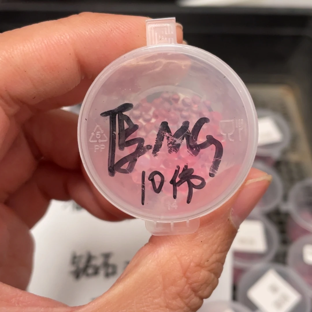 厚叶✖️麦秆20粒，新品好看