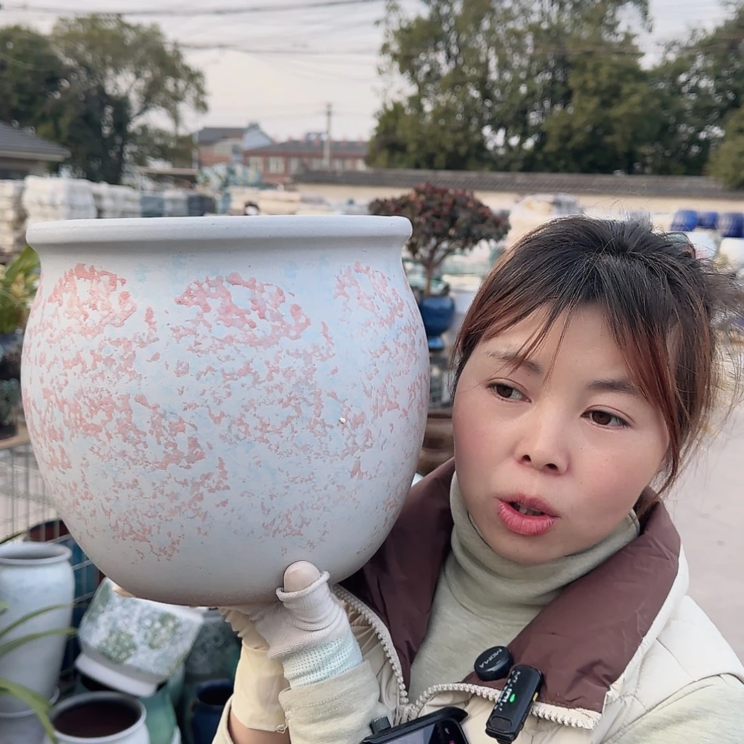 王嫂花盆1204-141高25口25