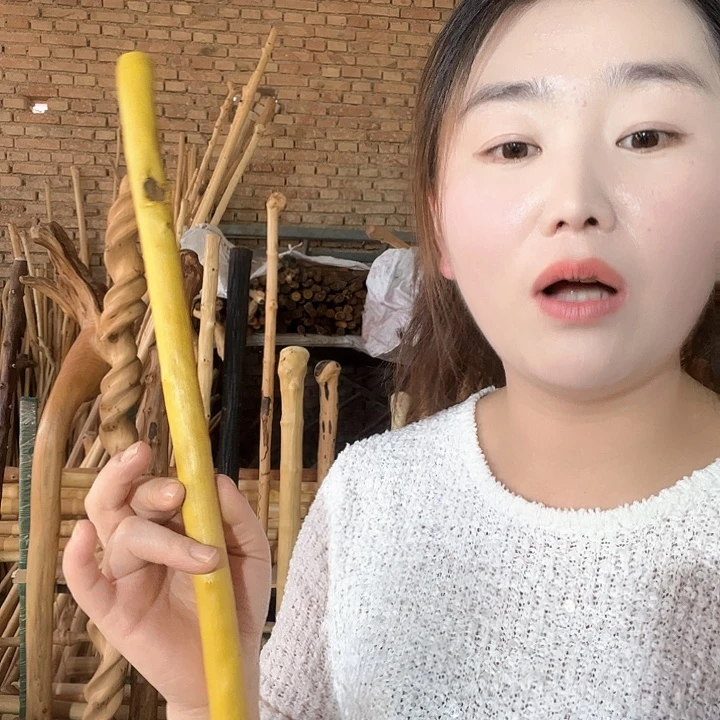 黄龙柏55-1.9-2.0