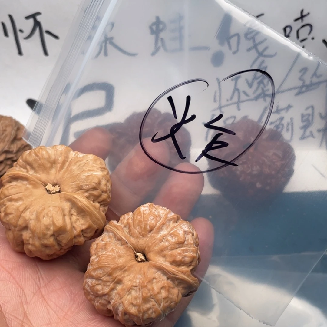 核桃W936396936964694964
