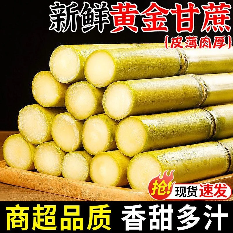 【云南黄金甘蔗】青皮绿皮黄皮甘蔗应季水果多汁清甜爽口新鲜发货