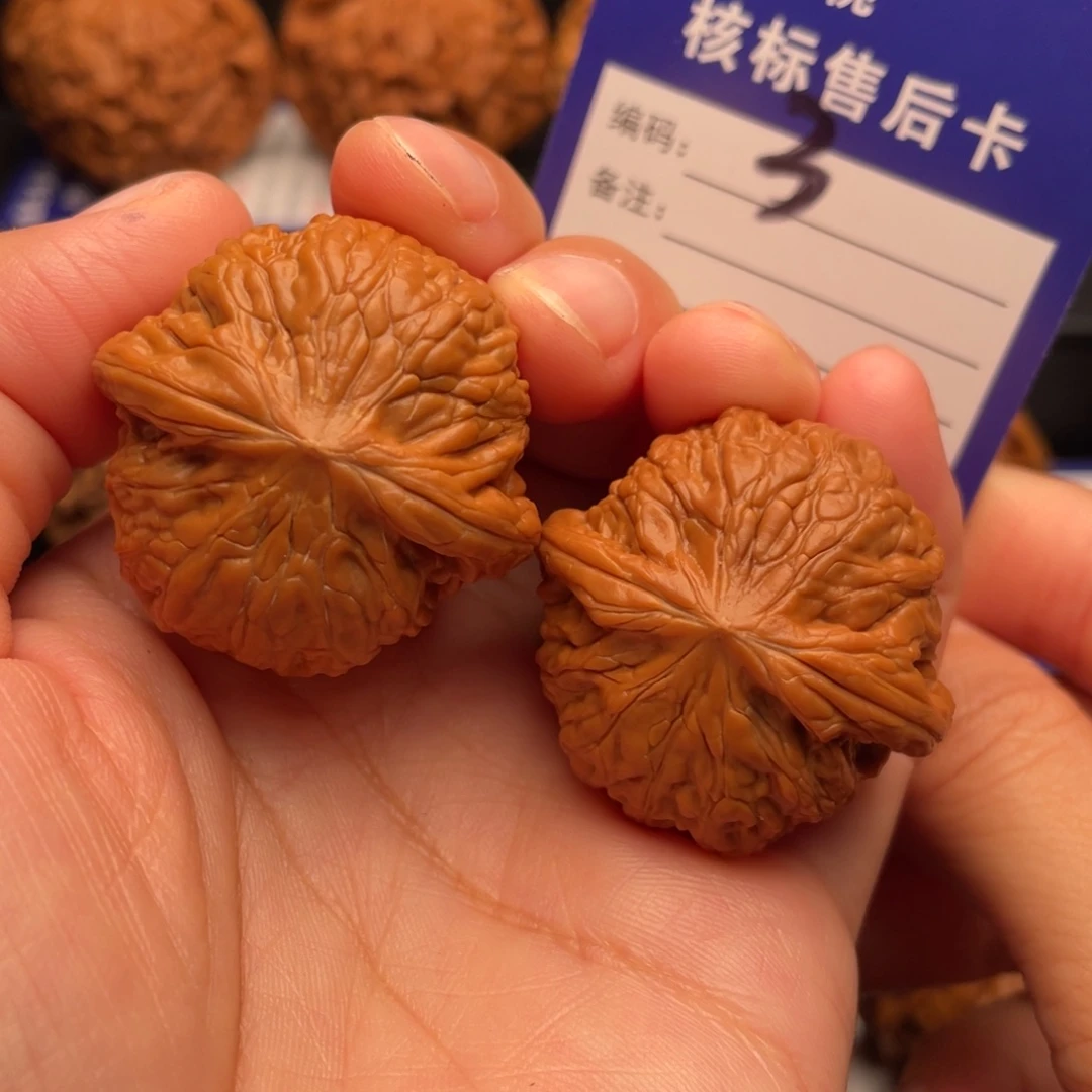 文玩核桃把件铁锤妹妹36全品3号