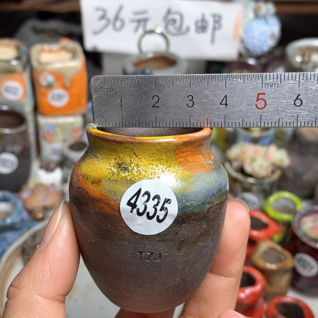 花盆拍5送一个小礼物