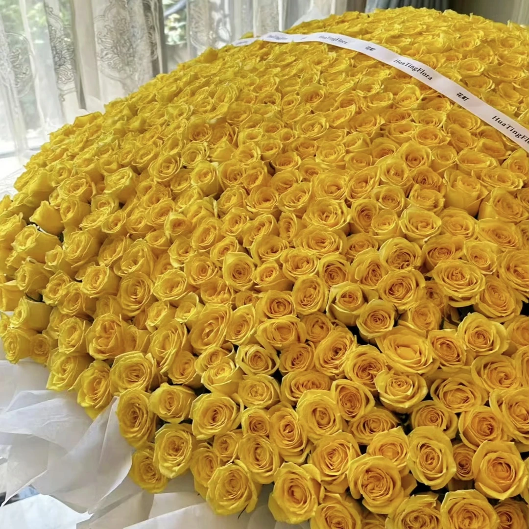 【月光漫步单头玫瑰10枝】顺丰包邮 脱水发货 请先醒花  包包卖花