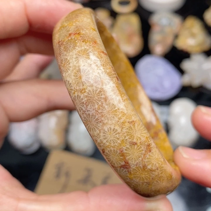 硅化珊瑚（珊瑚玉）手镯未镶嵌56