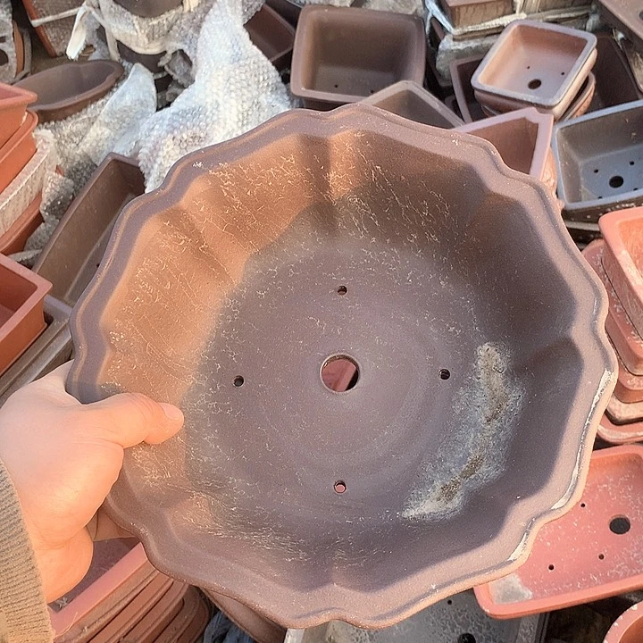 紫砂我要不就是你一